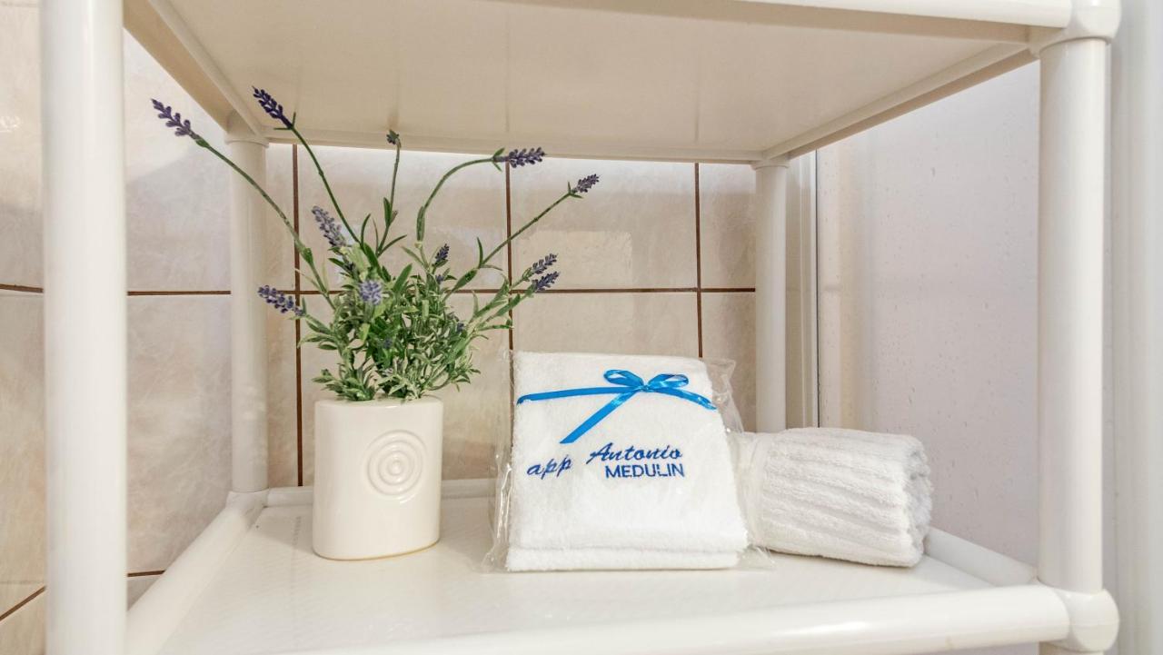 מדולין Apartments Antonio מראה חיצוני תמונה